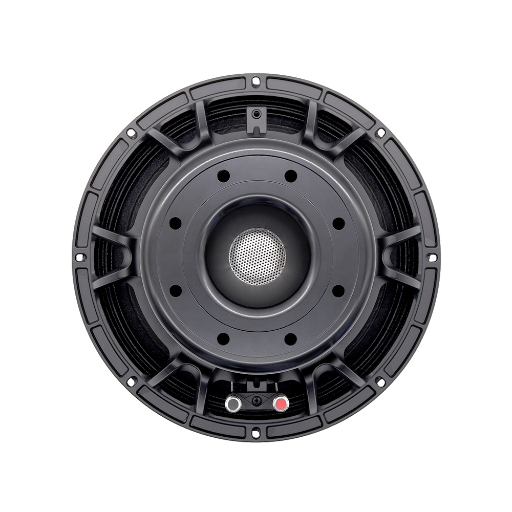 Audio & Music Xbox - Equipamento de Áudio Profissional 12DS, Alto-falante